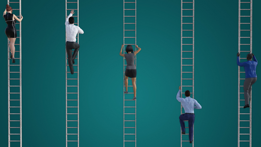 The Entrepreneurial Ladder