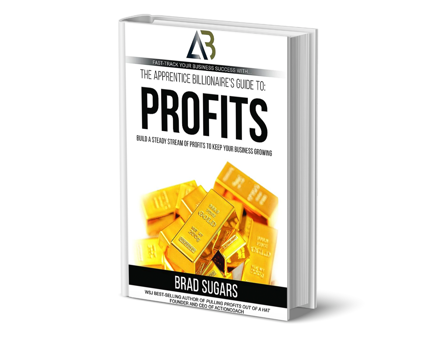 Apprentice Billionaire's Guide to Profits: Build a Steady Stream of Profits to Keep Your Business Growing